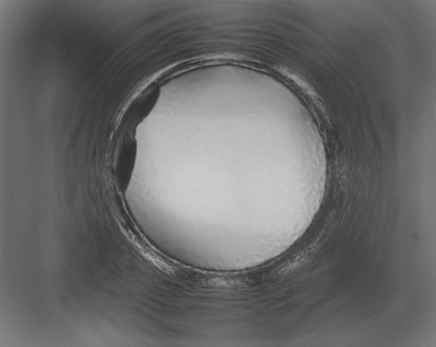 X0000082140933200702092121