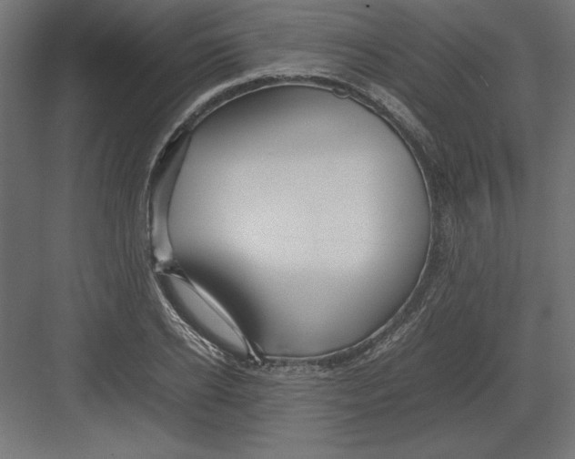 X0000082140934200702092121