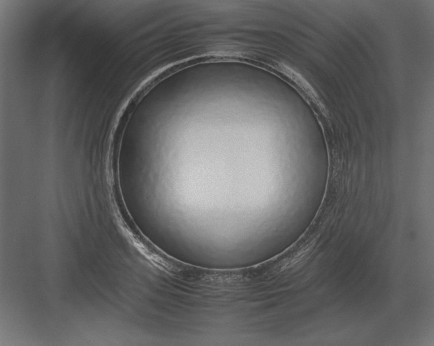 X0000082140939200702092121