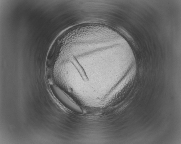 X0000082140940200702092121