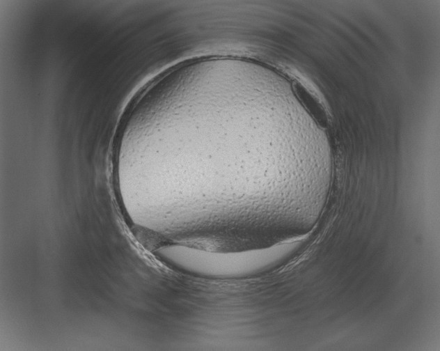 X0000082140944200702092122