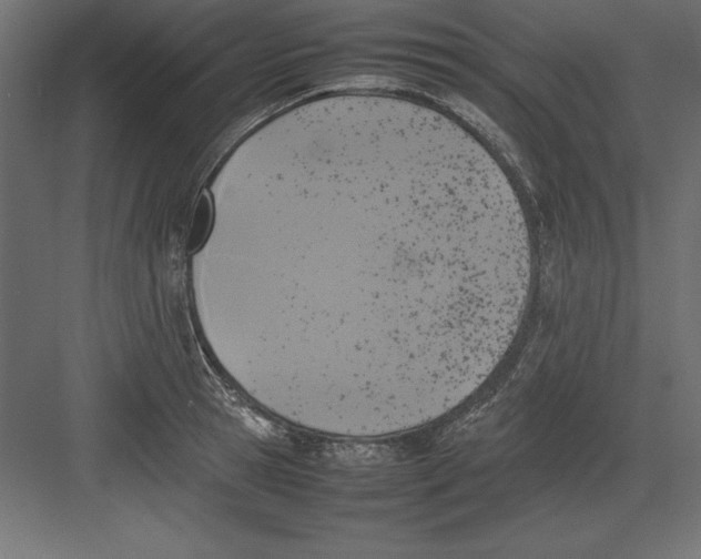 X0000082140945200702092122