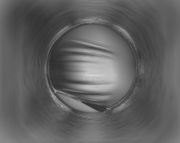 X0000082140946200702092122