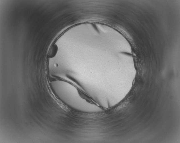 X0000082140948200702092122