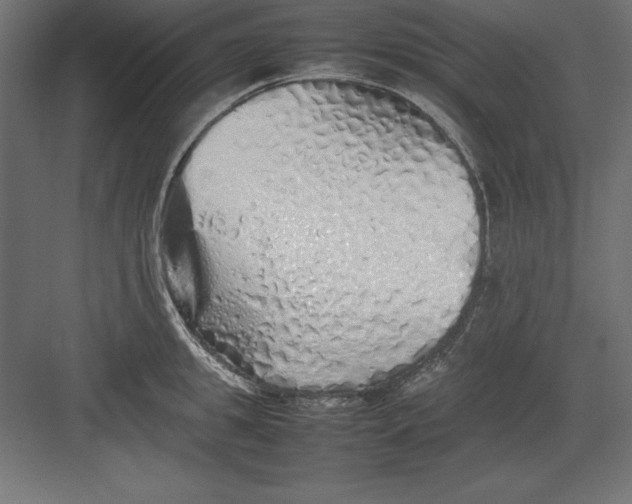 X0000082140949200702092122