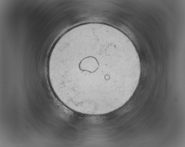 X0000082140950200702092122