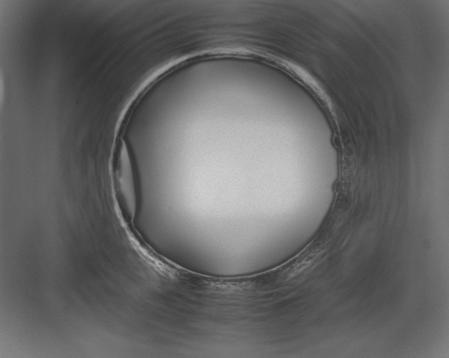 X0000082140951200702092122