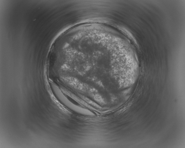 X0000082140952200702092122