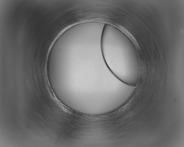 X0000082140956200702092122