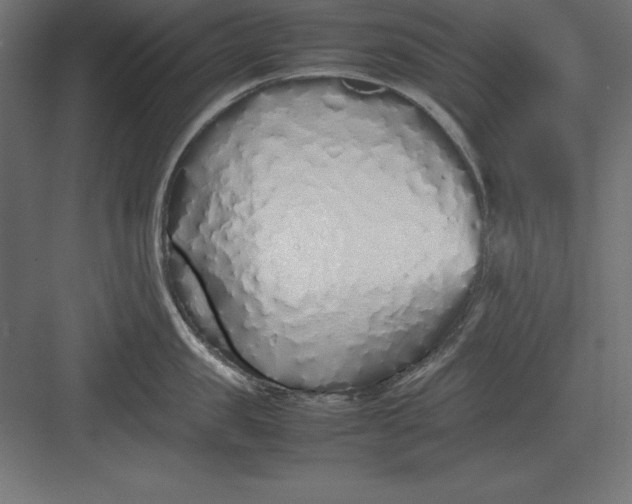 X0000082140957200702092122