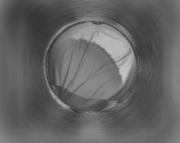 X0000082140958200702092122