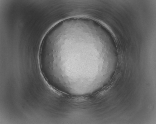 X0000082140959200702092122