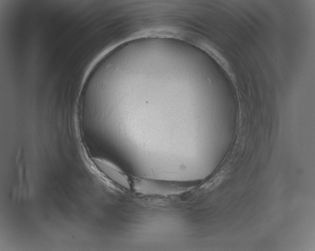 X0000082140960200702092122