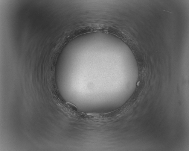 X0000082140961200702092121