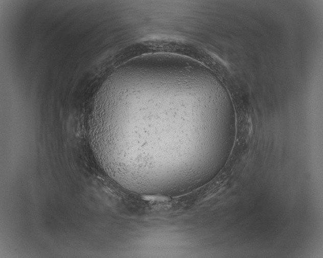 X0000082140965200702092121