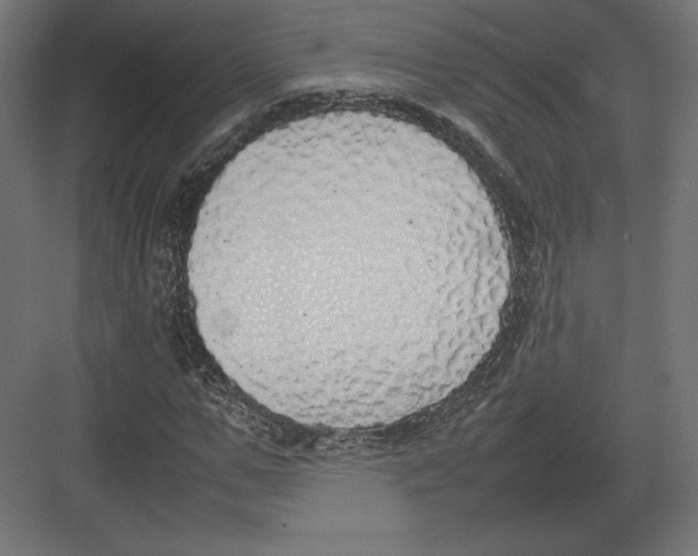 X0000082140967200702092121