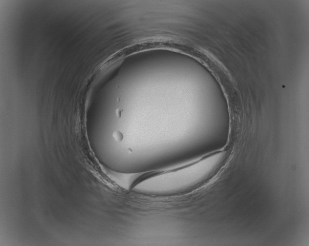 X0000082140969200702092121