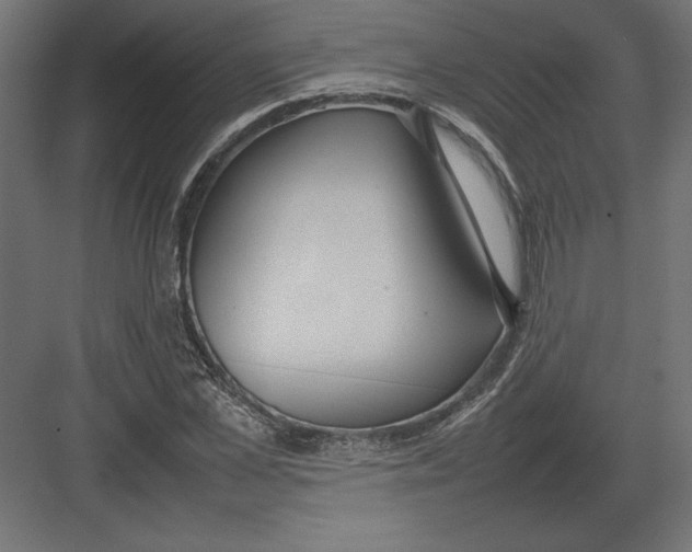 X0000082140973200702092121