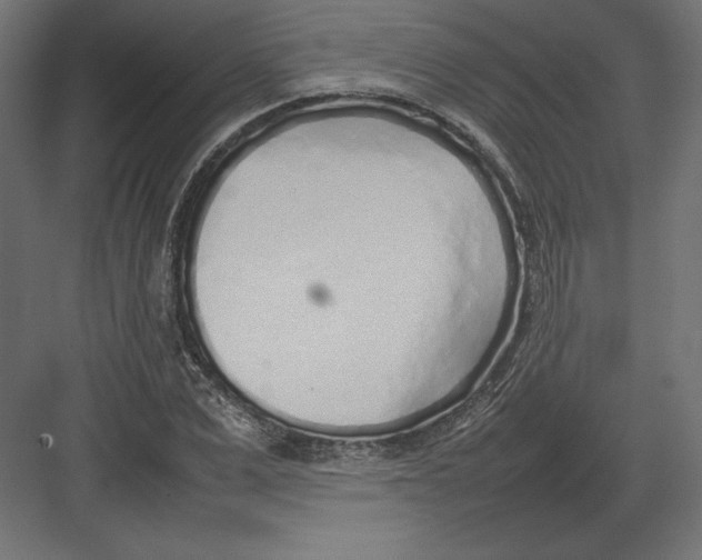 X0000082140975200702092121