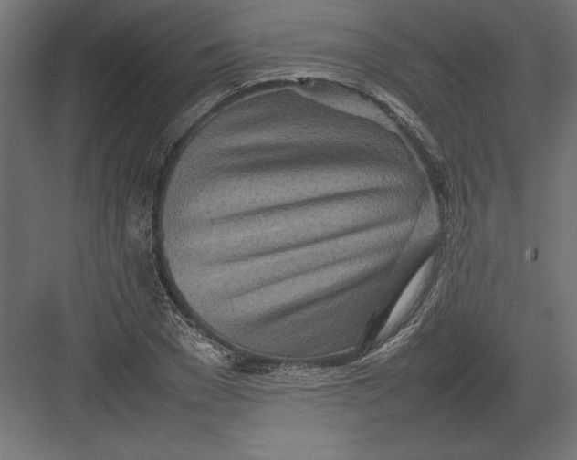 X0000082140977200702092121