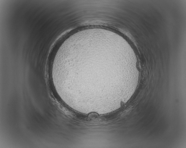 X0000082140979200702092121