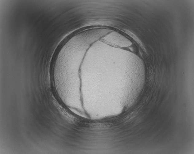 X0000082140980200702092121