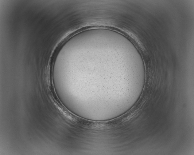 X0000082140982200702092121