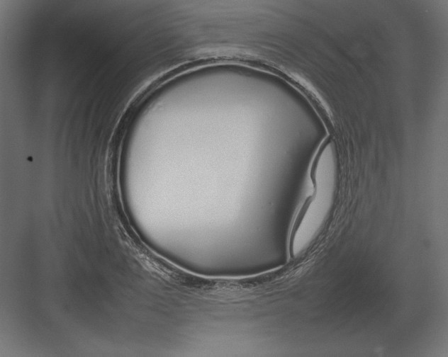 X0000082140983200702092121