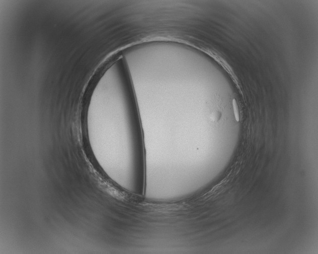 X0000082140984200702092121