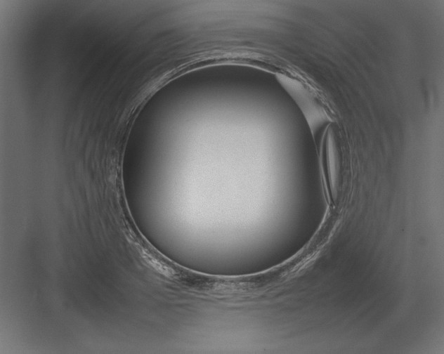 X0000082140985200702092121