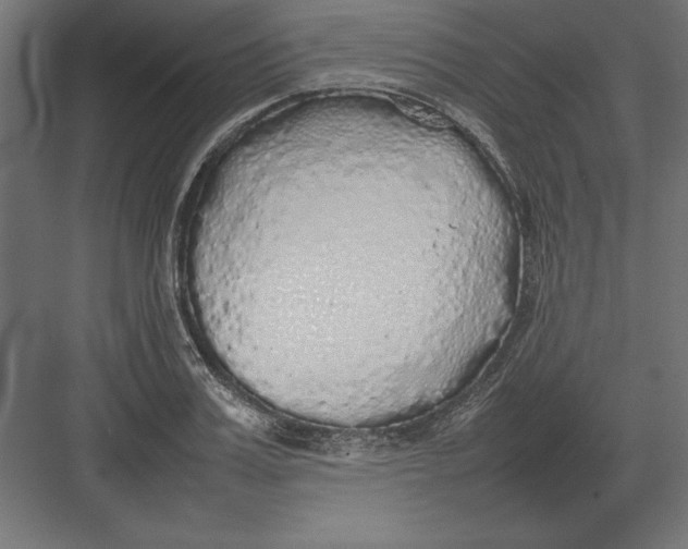 X0000082140987200702092121