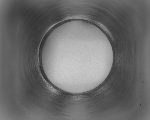 X0000082140988200702092121