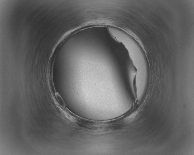 X0000082140989200702092121