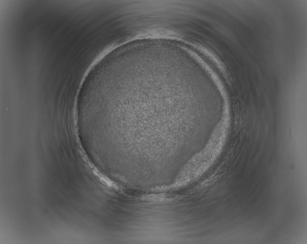 X0000082140990200702092121