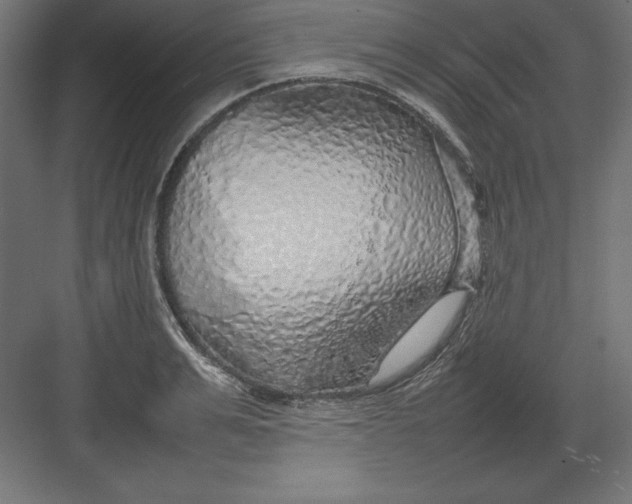 X0000082140991200702092121