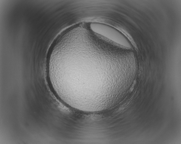 X0000082140992200702092120