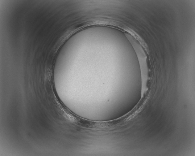 X0000082140993200702092120