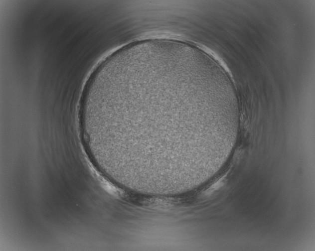 X0000082140995200702092120