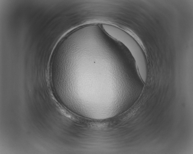 X0000082140996200702092120