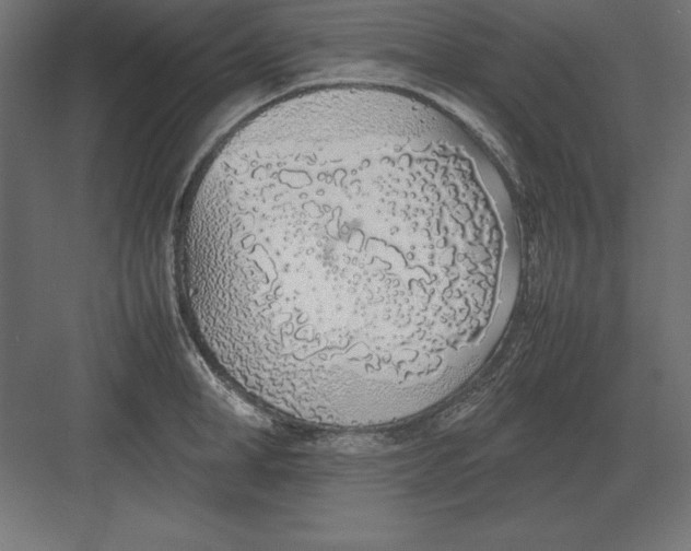 X0000082140998200702092120