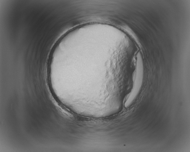 X0000082140999200702092120