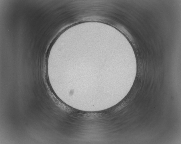 X0000082141000200702092120