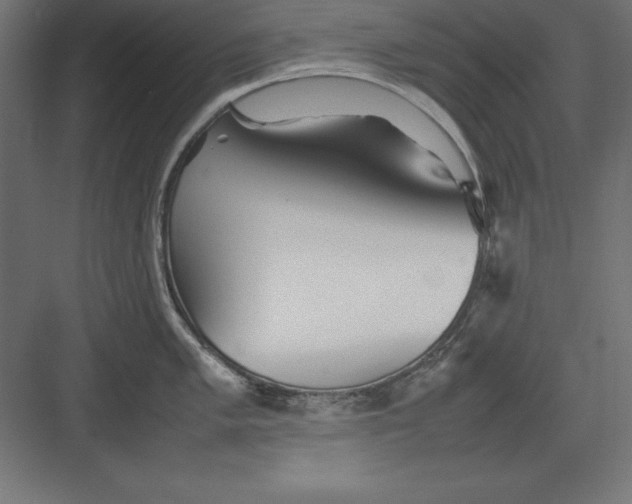 X0000082141005200702092120