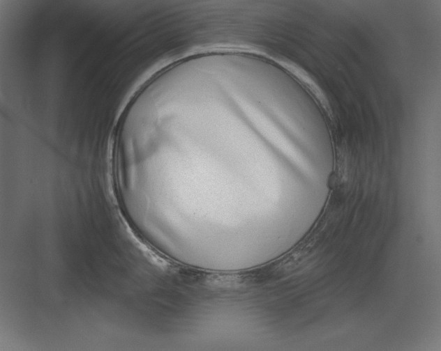 X0000082141006200702092120