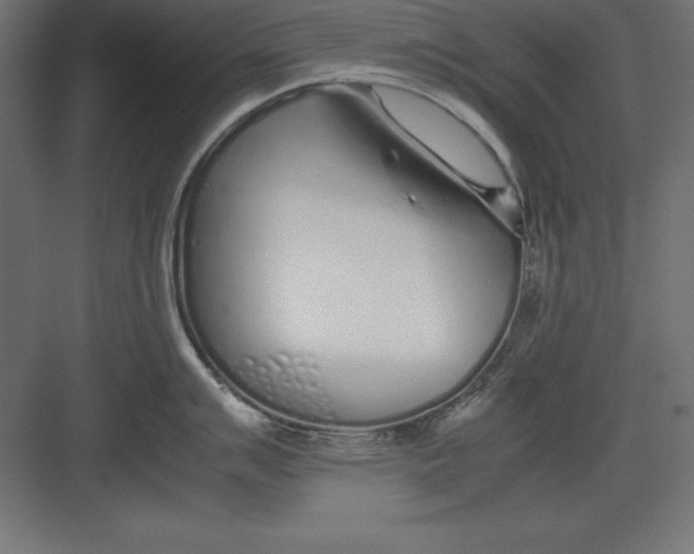 X0000082141007200702092120