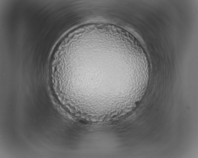 X0000082141008200702092120