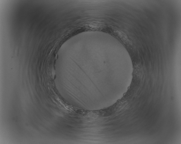 X0000082141009200702092119