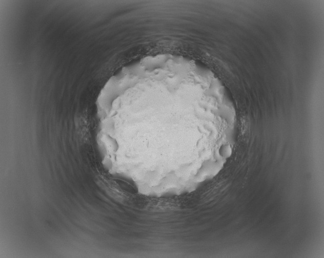 X0000082141011200702092119