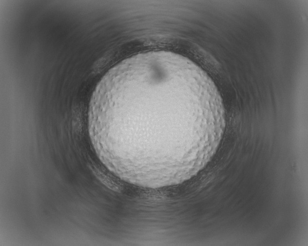 X0000082141012200702092119