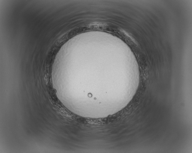 X0000082141015200702092120